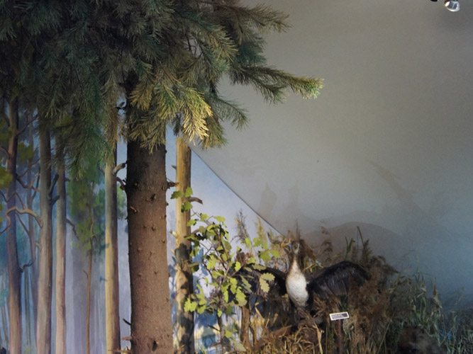 Zdjęcie: dorama oswietlenie.jpg